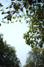 Zeiss蔡司（ZEISS）徠卡相機(jī)M系列旁軸鏡頭PlanarT*鍍膜50mm定焦Distagon35/1.4 C Sonnar T*50mm/f1.5 (黑色) 曬單實(shí)拍圖