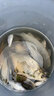 漁之源魚護(hù)野釣專用方形魚護(hù)釣魚網(wǎng)兜加厚速干魚護(hù)漁護(hù)新款小魚護(hù)去野 31cm 3m 【反光防跳 專利地插】含包 曬單實拍圖