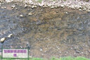 尼康（Nikon） 尼康 （Nikon）尼康原裝NC/PL2濾鏡 / UV鏡 / 保護(hù)鏡 / 偏振鏡CPL 尼康77mm 口徑 CPL偏振鏡 曬單實(shí)拍圖