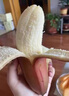 橙小士福建土樓紅美人香蕉紅蕉banana新鮮時(shí)令孕婦水果現砍自然熟 3斤 【出口級】高品質(zhì)美人蕉 曬單實(shí)拍圖