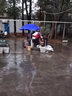 Boelter戶外遮陽傘大號擺攤傘大型雨傘太陽傘地攤沙灘傘廣告?zhèn)阃ピ簜愦髠?2.0米全藍加粗層架+防風(fēng) 曬單實拍圖