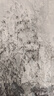 S.DEER圣迪奧女裝簡約V領(lǐng)做舊拼接短款吊帶S21281504 白色/90 S 160 曬單實拍圖