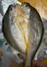 黃小漁寧德三去黃花魚(yú)600g/4條大黃魚(yú)生鮮海鮮水產(chǎn)深海魚(yú)類(lèi)燒烤食材中秋 曬單實(shí)拍圖