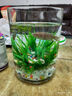貝拉緣創(chuàng  )意客廳金魚(yú)缸玻璃水族箱小型生態(tài)圓形圓柱大號烏龜缸造景桌面缸 15*20圓柱+彩石6件套 曬單實(shí)拍圖