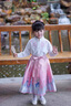 迪士尼女童套裝2025新款春秋艾莎公主馬面裙中小童女寶寶公主裙時尚百搭 粉色長袖套裝 100 cm 曬單實拍圖