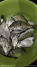 尚藝東美 小磯魚鉤加粗有倒刺日本鯉魚鉤青魚鉤高強度海釣魚鉤 4號（8個裝-有刺） 曬單實拍圖