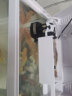 SEA STAR生态海 星小鱼缸客厅小型水族箱创意迷你玻璃家用懒人造景LED灯 240ZF标配（带20件套） 实拍图