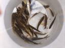 釣魚(yú)王溪流釣線(xiàn)組白條馬口石斑鳑鲏?mèng)~(yú)線(xiàn)七星漂魚(yú)鉤成品 2卷線(xiàn)組+5付鉤 曬單實(shí)拍圖