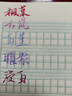 點(diǎn)石新國色柔繪彩色秀麗筆手賬Brush繪畫書法小楷彈軟頭勾線筆827水彩筆涂鴉思維導(dǎo)圖練字小楷馬克筆 白堇+曜紫+云嵐+浸日+楓葉 曬單實(shí)拍圖