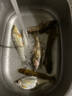 爆護(hù)釣鯰魚小藥餌料飼料打窩料野釣胡子鯰大口鯰塘鲺誘食劑釣餌料 買1 送1【實(shí)發(fā)2瓶】 曬單實(shí)拍圖