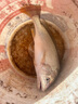 迎科進口高端東麗原絲名牌魚線正宗主線子線海桿路亞拋竿超柔軟品牌線 3.5號 湖藍色220米自帶出線孔方便上線 曬單實拍圖