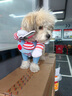 寵物衣服秋冬比熊法斗狗狗貓咪搞怪柴犬柯基泰迪搞笑網(wǎng)紅拿刀裝 拿刀娃娃變身裝 XL碼【適合51-80斤】 曬單實(shí)拍圖