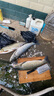 領(lǐng)路人品牌釣青魚珠珠軟餌黑坑緩沉珠珠藍莓錨魚珠珠草魚鯉魚釣魚珠珠 藍莓味18mm（專攻青魚） 曬單實拍圖