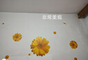 墻紙自粘3d立體墻貼臥室床頭背景墻裝飾溫馨玫瑰花貼紙墻壁貼畫 黃菊 大 曬單實(shí)拍圖