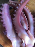 蕓鮮曦魷魚(yú)須 大號脆口章魚(yú)足 深海新鮮熟凍燒烤火鍋食材 海鮮水產(chǎn) 脆口魷魚(yú)須5斤裝 400-600g/條 曬單實(shí)拍圖