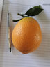 菓靈稥重慶奉節(jié)甜臍橙當季紐荷爾臍橙手剝橙新鮮水果年貨 5斤 80mm(含)-85mm(不含) 精選中大果 曬單實拍圖