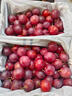 千朵云智利櫻桃李 新鮮當季智利進(jìn)口櫻桃李子孕婦水果爆甜脆口李子 1斤 曬單實(shí)拍圖