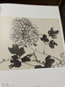 經(jīng)典全集 陳淳畫(huà)集 8開(kāi)中國畫(huà)臨摹畫(huà)冊書(shū)籍寫(xiě)意水墨國畫(huà)花鳥(niǎo)魚(yú)蟲(chóng)山水走獸技法教材高清臨本冊頁(yè) 花卉禽鳥(niǎo)名作賞析鑒賞 楊建飛主編 曬單實(shí)拍圖