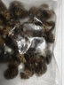 流連灣【活鮮】鮮活大花螺 新鮮螺類 大花螺 活貝類海鮮水產(chǎn) 鮮活大花螺 (500g) 曬單實拍圖