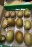 佳沛（zespri）新西兰阳光金奇异果12粒礼盒特大果单果约124-146g水果猕猴桃 实拍图