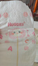 好奇（Huggies）鉑金裝小桃褲紙尿褲M144片(6-11kg)中號尿不濕【消暑散熱】 曬單實(shí)拍圖