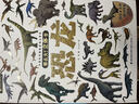 那么大恐龍3d立體書兒童3-6-8歲以上繪本翻翻書趣味科普恐龍百科全書揭秘恐龍世界一二年級小學(xué)生動(dòng)物課外故事書籍節(jié)生日節(jié)日禮物女孩男孩 曬單實(shí)拍圖