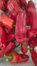新鮮紅辣椒農(nóng)家大紅椒 時(shí)令蔬菜新鮮辣椒 做醬椒 剁椒辣椒紅椒5斤 1斤 曬單實(shí)拍圖