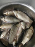 AFW魚(yú)竿超輕超硬19調6H8H手桿臺釣竿黑坑大物竿鯽鯉魚(yú)竿湖庫綜合竿 5.4m +6.3m+雙禮包+終身配節 曬單實(shí)拍圖