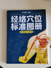 全身穴位一找就準 經(jīng)絡(luò )穴位按摩大全書(shū)穴位書(shū)籍圖解手法人體穴位圖解大全書(shū)經(jīng)絡(luò )養生書(shū)醫本正經(jīng)養生醫書(shū)入門(mén) 經(jīng)絡(luò )穴位標準圖冊 曬單實(shí)拍圖