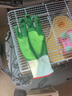 寵寶它 實(shí)驗室抓大鼠手套 小鼠防咬手套 倉鼠防咬加厚手套 抓小動(dòng)物手套 綠色常規厚度偏大 建議手大/男士 均碼 曬單實(shí)拍圖