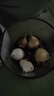 沭之美漳州水仙種球室內水培花卉陽(yáng)臺綠植盆栽耐寒水仙花 洋水仙種球 酒杯5個(gè) 不含盆 曬單實(shí)拍圖