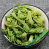 鹿凌青刺老芽新鮮刺嫩芽東北山特產(chǎn)野菜山菜天然保鮮袋裝750g 750克/袋 *1 曬單實(shí)拍圖