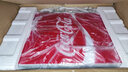 可口可樂(lè )（Coca-Cola）車(chē)載冰箱20L車(chē)家兩用數顯溫控迷你小冰箱辦公室宿舍母乳冷暖箱 紅-雙核強制冷 車(chē)家兩用 20L 曬單實(shí)拍圖