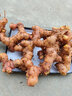 潮汕南姜 新鮮精選姜塊 產(chǎn)地現(xiàn)挖直發(fā)食用農(nóng)產(chǎn)品牛羊肉去膻調(diào)味品 1500g 曬單實(shí)拍圖