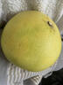 兮柔正宗浙江玉環(huán)文旦柚 新鮮柚子老樹(shù)白肉文旦柚子團購送禮佳品整箱 5斤 2個(gè)裝 曬單實(shí)拍圖