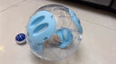 逸樂(lè )寵倉鼠跑輪跑球滾輪運動(dòng)球松鼠金絲熊小寵外帶用品玩具牽引繩跑步球 水晶跑球藍色12cm配牽引繩款 曬單實(shí)拍圖