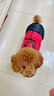 阿莫爾貓咪唐裝狗狗衣服東北大花棉襖泰迪比熊博美柯基小狗新年喜慶服裝 復古唐裝（四腳） XS-具體參考背長(cháng)和胸圍 曬單實(shí)拍圖