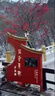中迪戶外壁掛式廣告機(jī)顯示屏高亮防水防雨防盜室外智能溫控多媒體液晶廣告屏遠(yuǎn)程發(fā)布數(shù)字標(biāo)牌 定制其它機(jī)型咨詢客服 曬單實(shí)拍圖