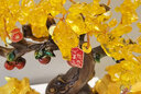 聚善緣財(cái)源廣進(jìn)貔貅發(fā)財(cái)樹擺件招財(cái)辦公室店鋪前臺(tái)裝飾朋友喬遷開業(yè)禮物 【禮盒】YX16寸財(cái)源廣進(jìn)高約33CM 曬單實(shí)拍圖