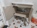 九牧（JOMOO）浴室柜 陶瓷一体盆抗菌洗脸盆柜组合 淡藕色70cm A2721-14AK-1 实拍图