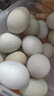 跑山密水農家農家烏雞蛋 農家糧食 新鮮雞蛋雞蛋 綠皮雞蛋 40枚烏雞蛋 曬單實(shí)拍圖