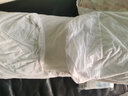 喜屋（SHERWOOD）床笠防水防螨抗菌隔尿墊透氣席夢(mèng)思毛巾布床護墊保護套 【防水抗菌防螨】白色 1.5m床（150*200+30cm） 曬單實(shí)拍圖