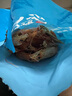 繽鮮 特大烤蝦干九節蝦干即食烤蝦干對蝦干特大斑節蝦海產(chǎn)干貨大烤蝦 大號烤蝦干【約20只】?jì)糁?00g 曬單實(shí)拍圖