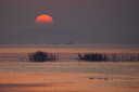 騰龍（Tamron）70-300mm鏡頭全畫幅遠(yuǎn)攝中長(zhǎng)焦人像風(fēng)光旅行打鳥微單鏡頭70300 70-300mm 索尼口 官方標(biāo)配【送騰龍?jiān)bUV+高檔清潔套裝】 曬單實(shí)拍圖