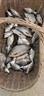 博菲特日本原絲虞美人500米魚線主線海竿線遠(yuǎn)投拋磯線尼龍線釣魚線子線 【500米/盤】透明色 3.0號 曬單實拍圖