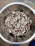 果酸釣魚小藥大全黑坑野釣專用鯽魚鯉魚羅非添劑餌料千里香窩料 特濃縮果酸小藥50ml(1瓶裝) 曬單實拍圖