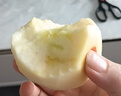 褚蘋(píng)果【中秋禮盒】云南糖心蘋(píng)果現摘現發(fā)孕婦水果寶寶食輔生鮮整箱 12枚 精品大果禮盒裝（約4斤） 曬單實(shí)拍圖