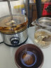 西麦（CIMI） 黑茶煮茶器喷淋式蒸茶壶全自动加厚玻璃花茶养生壶电热烧水电烧茶壶 1030单网（多段调温+1200W变频） 1.2L 实拍图