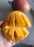 京配嘉果澳芒超大芒果 當(dāng)季海南澳芒芒果水果肉厚多汁熱帶水果大芒果 2斤精選裝 曬單實拍圖