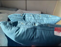 洁丽雅（Grace）枕头枕芯星级酒店羽丝绒枕芯可水洗枕纤维软枕芯 48*74cm 单只装 实拍图